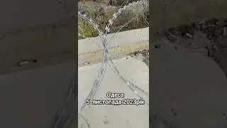 5 ноября 2023 г. Море закрили