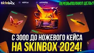 С 3000 до НОЖЕВОГО КЕЙСА на SKINBOX 2024! Цель перевыполнена!?