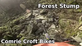 Forest Stump to the Quarry at Comrie Croft