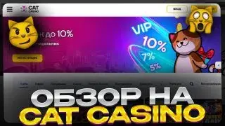 🧩 СЛОТЫ БЕСПЛАТНО и на ДЕНЬГИ - Лучшие ИГРЫ CAT CASINO | Лучшие Слоты Казино | Казино Бесплатно