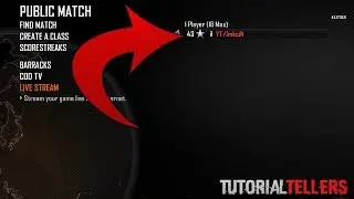 How to Get A Colored Name On Black Ops 2 PC