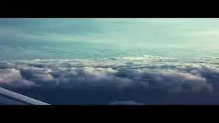 Brigitte Moisa - Te voi urma