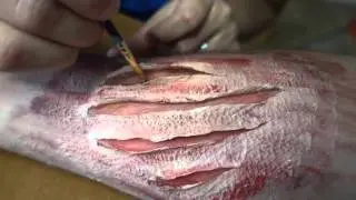 DIY ZOMBIE SFX MAKEUP FOR HALLOWEEN   HOW TO PRANK SPECIAL EFFECTS