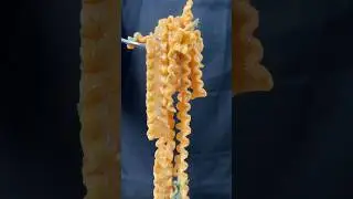 It’s a Pasta Party