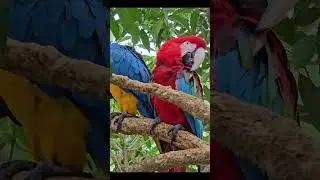 Обзор Райского Отеля Excellence Punta Cana 