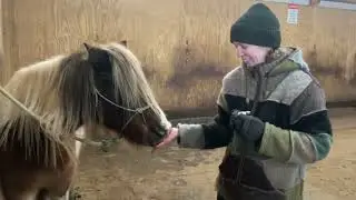 Horse's Cute Reaction to Essential Oils