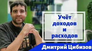 Как вести учет доходов и расходов / Дмитрий Цибизов / Вокруг Денег