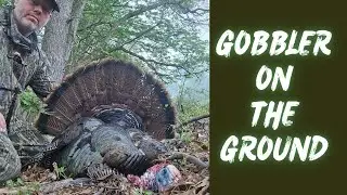 Gobbler On The Ground - Randy shares the highs and lows that is Turkey Hunting
