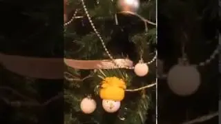 The Snowman Head's in the Christmas Tree !