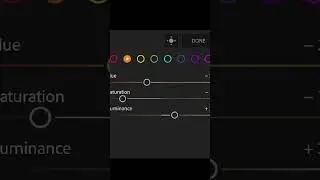 Colour Grading In Lightroom Mobile #photoediting #shorts