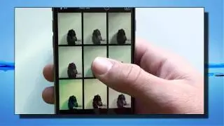 iPhone 6 Aplicar un filtro al hacer una fotografía