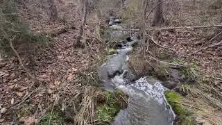 Beaver Dam removal Part 2. Blowing the Dam!! 💥💥💥