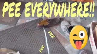 Pee on EVERYTHING! PEE! (Joke on my mom) It's her house!! Not real PEE