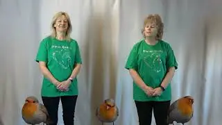 'Three Little Birds' (Bob Marley) Makaton signs