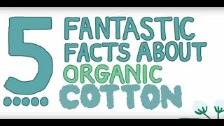 Five Fantastic Facts about Organic Cotton