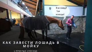 How to get a horse into the wash stall. 4 real ways to convince a horse to go into the wash stall.
