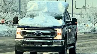 Idiots In Cars 193