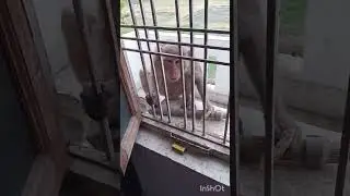 #comedy