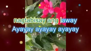 ROSAS PANDAN by shake with lyrics