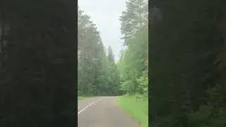 2 июля 2023 г.