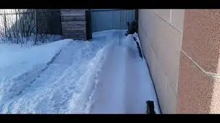 Первый раз приехали на дачу в 2024