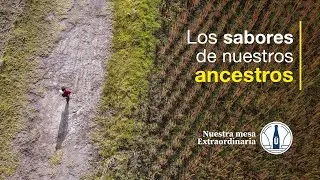 Probamos la comida 'novo-andina' de Abraspungo 👩‍🌾🌾 en #Chimborazo