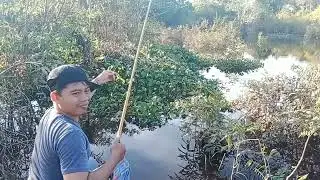 Joranku di serang sekelompok ikan gurih