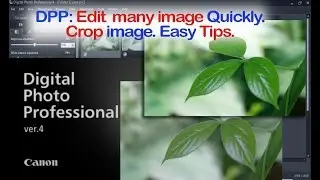 Digital Photo Professional (DPP) 4 Edit Many Images Perfectly & Crop Quickly