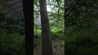 Spacerowe przemyślenia