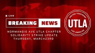 Solidarity Strike Closing Video