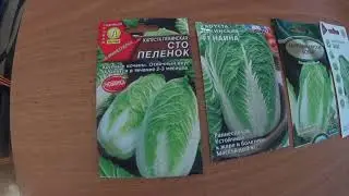 КАПУСТА ПЕКИНСКАЯ, правила и сроки посева, уход за сеянцами.