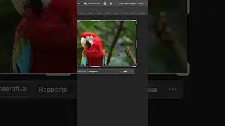 Espandere un video con l'intelligenza artificiale di Photoshop