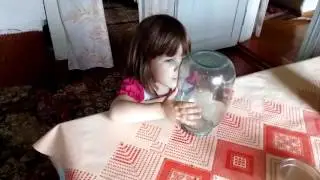#деревенский_досуг Знакомство с бабочкой