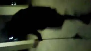 Video020