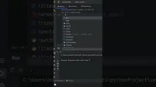 Python Code 