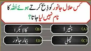 History's Islamic sawal & jawab 