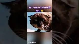 НУ ОЧЕНЬ СТРАННЫЙ КОТ! #memes #видео #cat #прикол #shorts #top #тяпляптвшоу