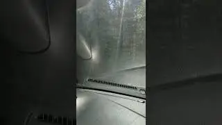 Валера для тебя снимаю! Небурчиловская дача. Местечко Бор