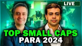MELHORES SMALL CAPS 2024