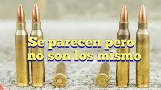 diferencia entre .223 y 5.56x45 y 7.62x51 entre .308