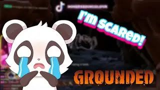 [Part 2] Discovering Arachnophobia (Grounded)
