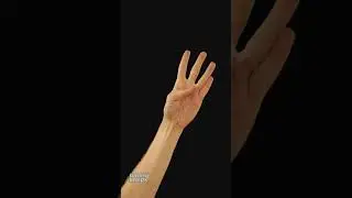 Аэробика для рук (Пальчиковая гимнастика)