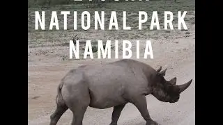 Etosha national park | keeping up with Kim