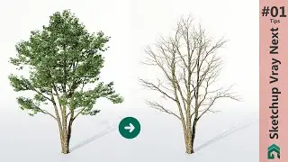 Sketchup Vray Next Tips 01