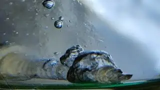 что будет если бросить раскалённый саморез в воду. В замедлении