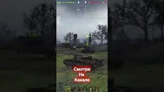 носорог в крысу