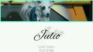 "Julio" lyrics - PUP STAR