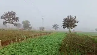 सुबह खेतों का अनुपम दृश्य village farm morning view 🌎😎💖🤩