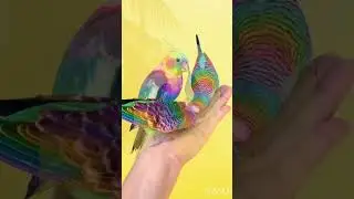 САМЫЕ КРАСИВЫЕ ПОПУГАИ 