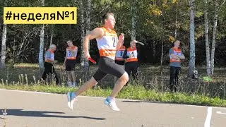 Подготовка к триатлону #неделя№1 #триатлон #ironman #железныйчеловек